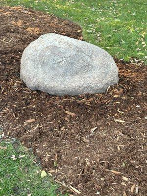The crew moved this boulder from the front yard to the back. Super thoughtful and listened to my requests.
