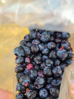 Whitehorse Meadows Farm