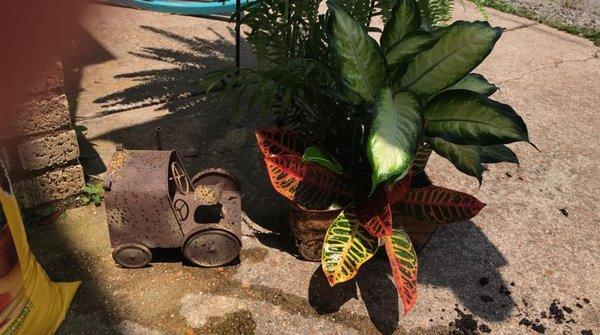 Prescott Flowers & Gifts