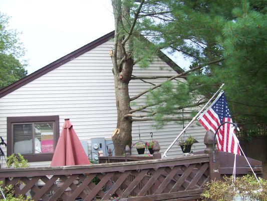 AAA Tree & Landscaping of Long Island
