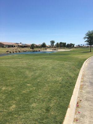 Sun City Shadow Hills Community Association