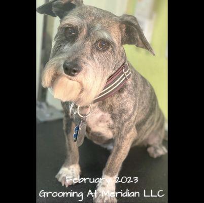 Grooming At Meridian