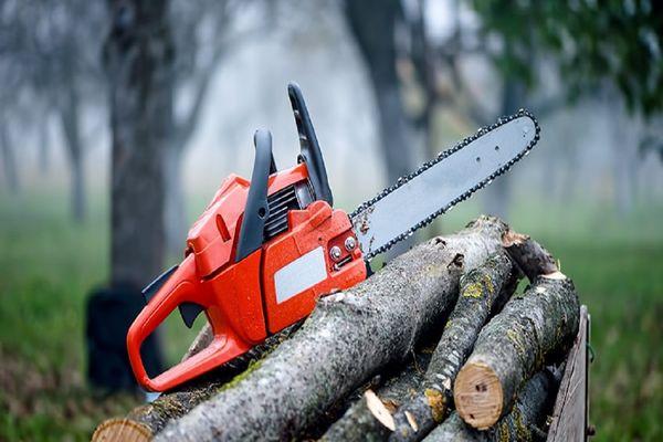David's Tree Services