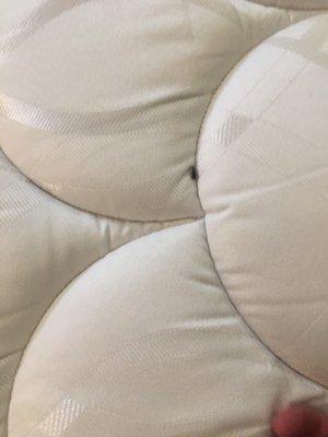 HomeTowne Studios Dallas - Mesquite