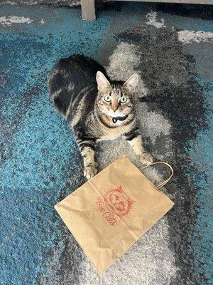 Buttons loved his gifts from The Love Cats!