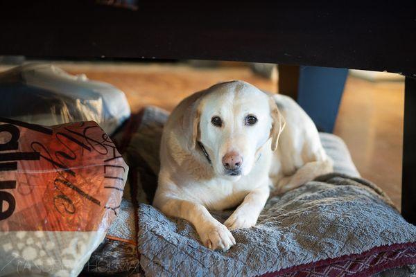 Sportsmans Paradise Lodge