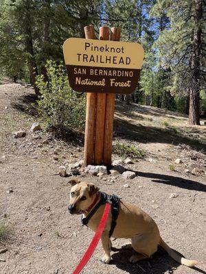 Pine Knot Trail