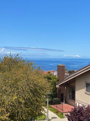 Larissa Rubijevsky- Estate Properties