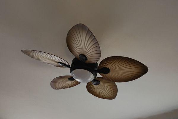 Our ceiling fan!