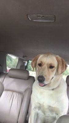 Wateree Animal Hospital