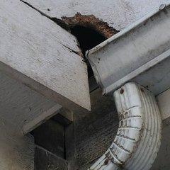 Affordable Pest Solutions