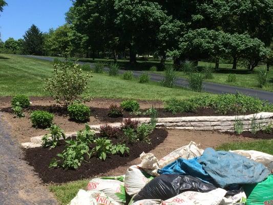 Anthony Scopelliti Landscaping