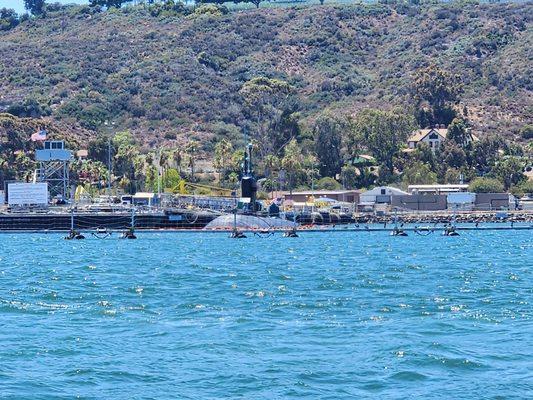 Seaforth Boat Rental - Coronado