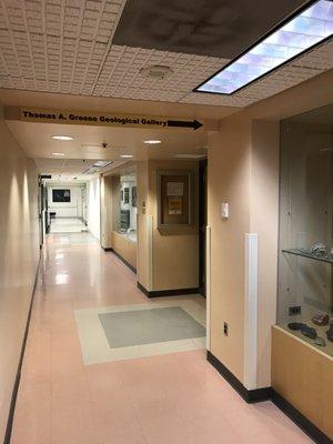 Thomas A. Greene Geological Museum