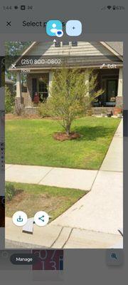 Cut Right Landscape Pro