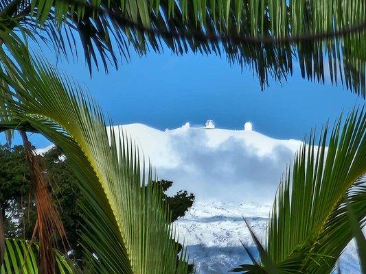 Black Sand Beach House