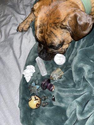 One of my (many) hauls