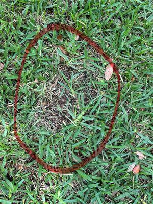 Cutters Edge Total Landscape Solutions