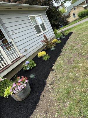 Royal Landscaping & Lawncare