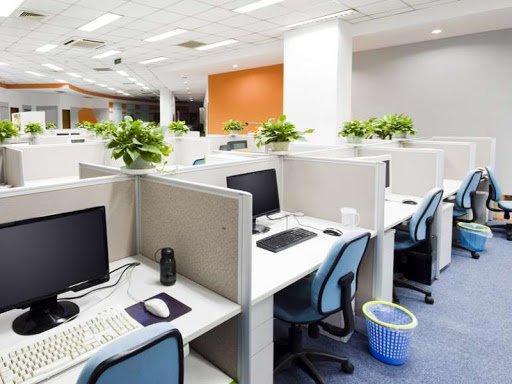 June Bug Cleaning Services