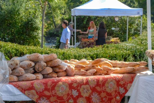 Courtesy Lipofsky.com