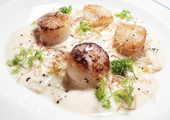 SCALLOPS - melted leeks, brown butter emulsion, urfa pepper