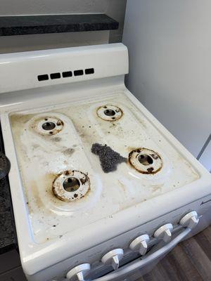 ZR Cleaning Services