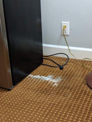 We spent a day and a half breathing this mold in without realizing it.