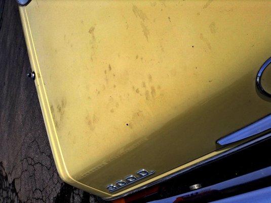 Greasy Hand Prints all over car.