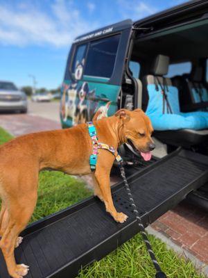 Chaufur Pet Services