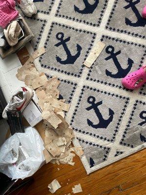 Michael Ball Moving & Storage