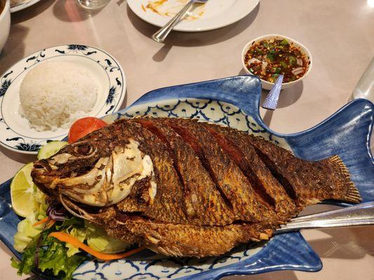 Fried Whole Fish Dish (tilapia)