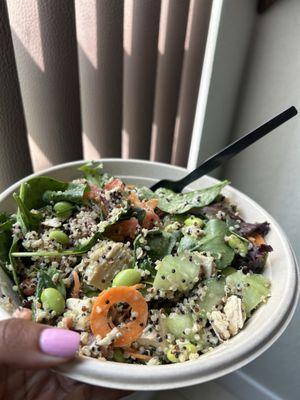 Zucchini Healthy Food