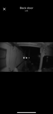 Trying to was the live review on the camera but it never loads or it'll take FOREVER TO COME UP