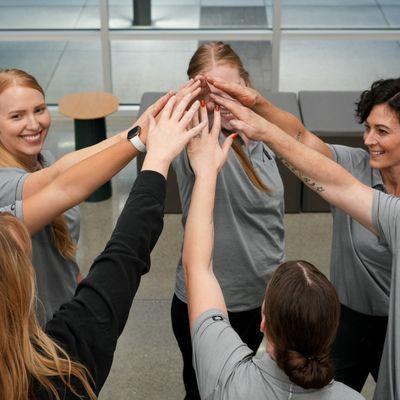Alpine Cleaning Team hands in