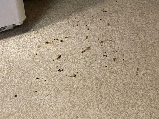 They left grease from the oven on the floor