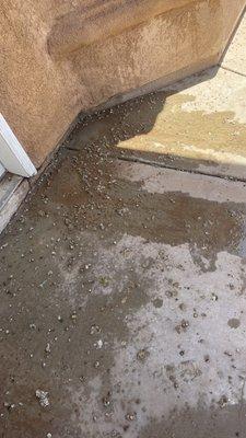 Reliable Pest & Termite Solutions