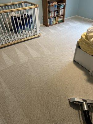 JTS Carpet Cleaning