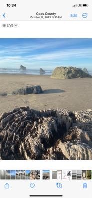 Birds Of Hope Healing Practices