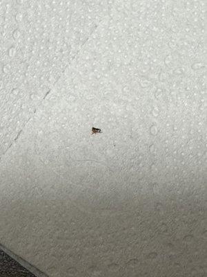 Another FLEA found...