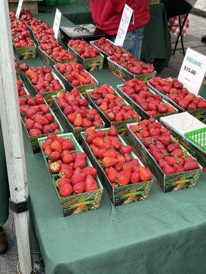 Fe Nella’s Berries