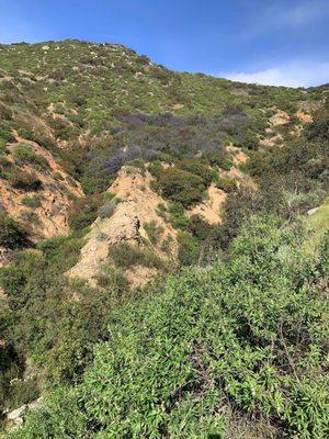 Monserate Mountain Preserve