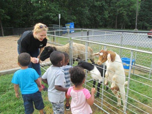 Kids Town Learning Center