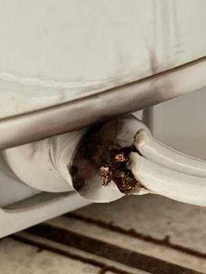 Aroma Housewares Company