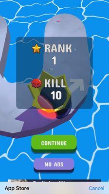 Paradise Valley Pool