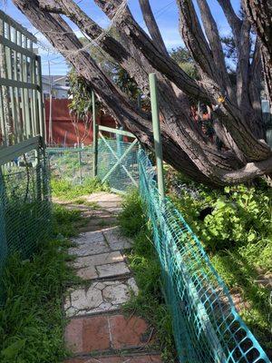 Golden Childhood Days Family care