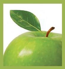 Paul F DiMattia, DDS