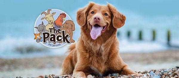 The Pack Pet Services