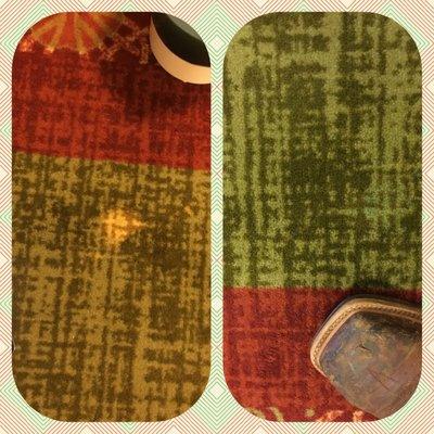 Dye Pro Carpet Dyeing & Restoration