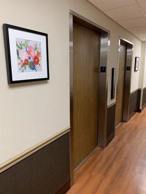 Surgical Bariatric Centers